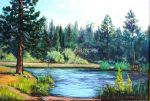 fishingatpinecrest.jpg