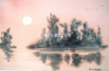 White Sun in Swamp
