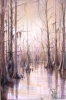 Winter Swamp