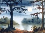 Evening Swamp