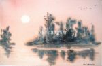 White Sun in Swamp