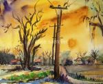 Southern Sunshine