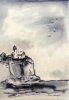 Five Sea Gulls 10 12 x 7 12 inches