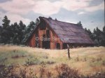 Mona's Barn in Colorado