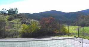 Behind our park 2